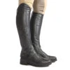 Kavalkade Wadenchaps Valerius -Equestrian Dreams 325284 BL 1