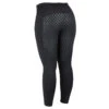 Dublin Performance Thermo Active Reitleggings Für Damen -Equestrian Dreams 327615 BL 1