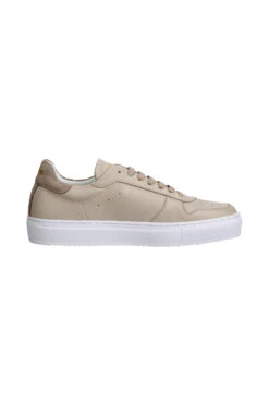 Suedwind Footwear Copenhagen Leder Sneaker 38 Suedwind Footwear Copenhagen Leder Sneaker -Equestrian Dreams 343587 SG 2