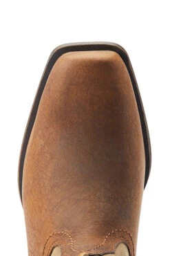 Ariat Rambler Damen Western Boots -Equestrian Dreams 345198 BR 06