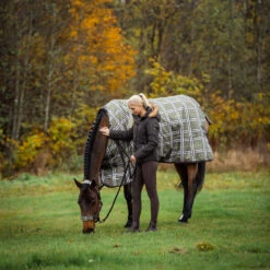 Horze Sienna Damen Reithose Mit Vollbesatz Und Silikon Grip -Equestrian Dreams 36660 BRBR 5