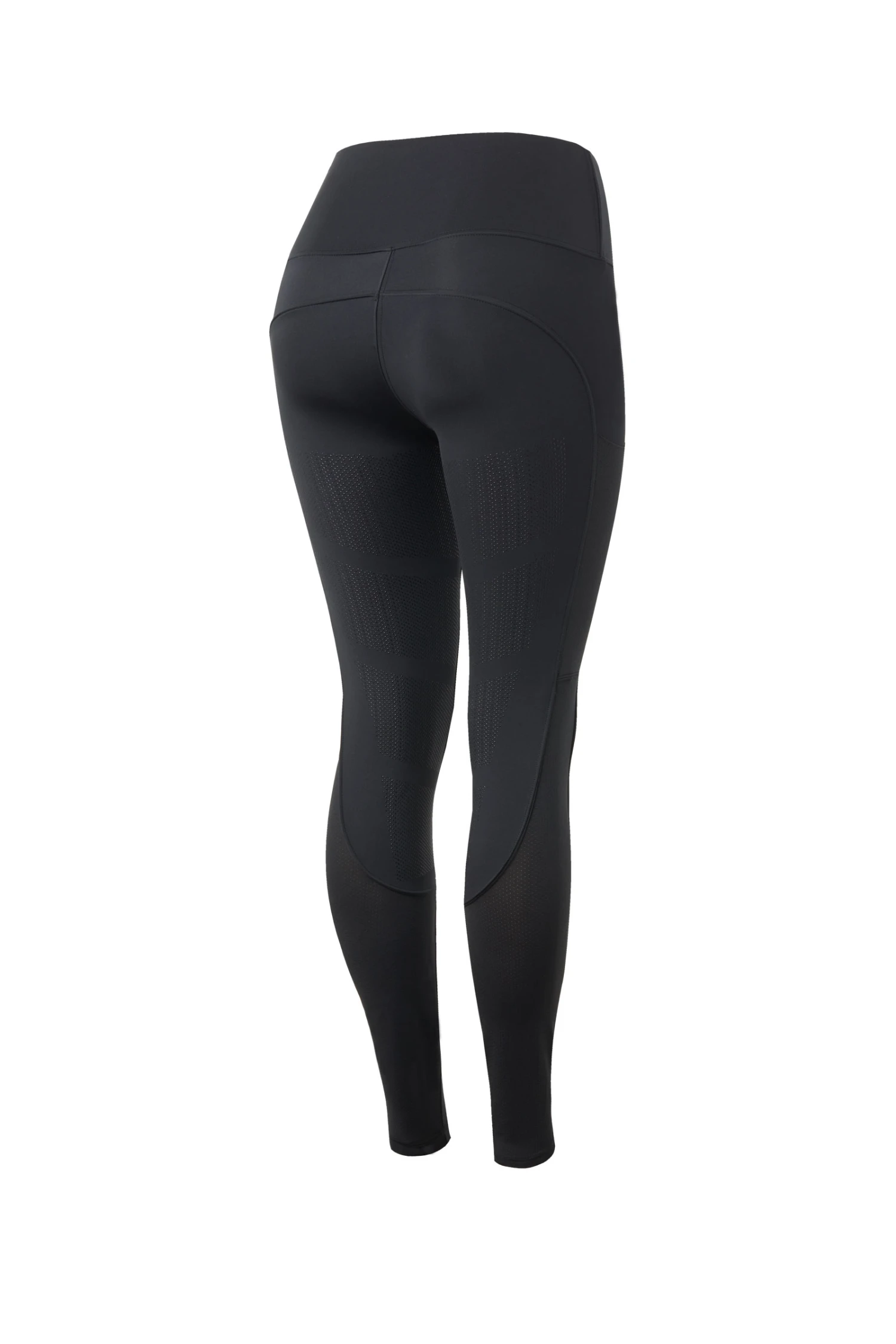 B Vertigo Adelaide Damen Reitleggings Mit Hohem Bund 22 B Vertigo Adelaide Damen Reitleggings Mit Hohem Bund – Bild 20