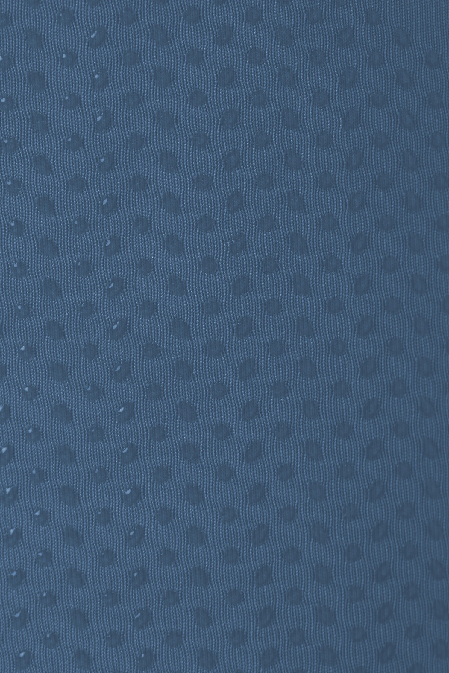 B Vertigo Adelaide Damen Reitleggings Mit Hohem Bund 14 B Vertigo Adelaide Damen Reitleggings Mit Hohem Bund – Bild 12