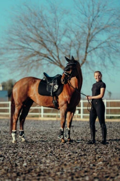 Horze Mila Vollbesatzreithose Für Damen Mit Hohem Bund -Equestrian Dreams 36698 BL 8