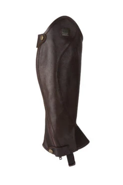 B Vertigo Cosmos Chaps -Equestrian Dreams 37299 DBR 1
