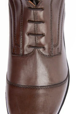 B Vertigo Vega Damen Reitstiefel -Equestrian Dreams 39107 dbr 05