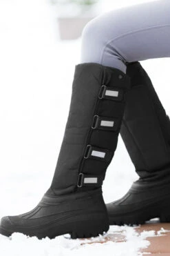 Equestrian Dreams -Equestrian Dreams 973861 BL 2