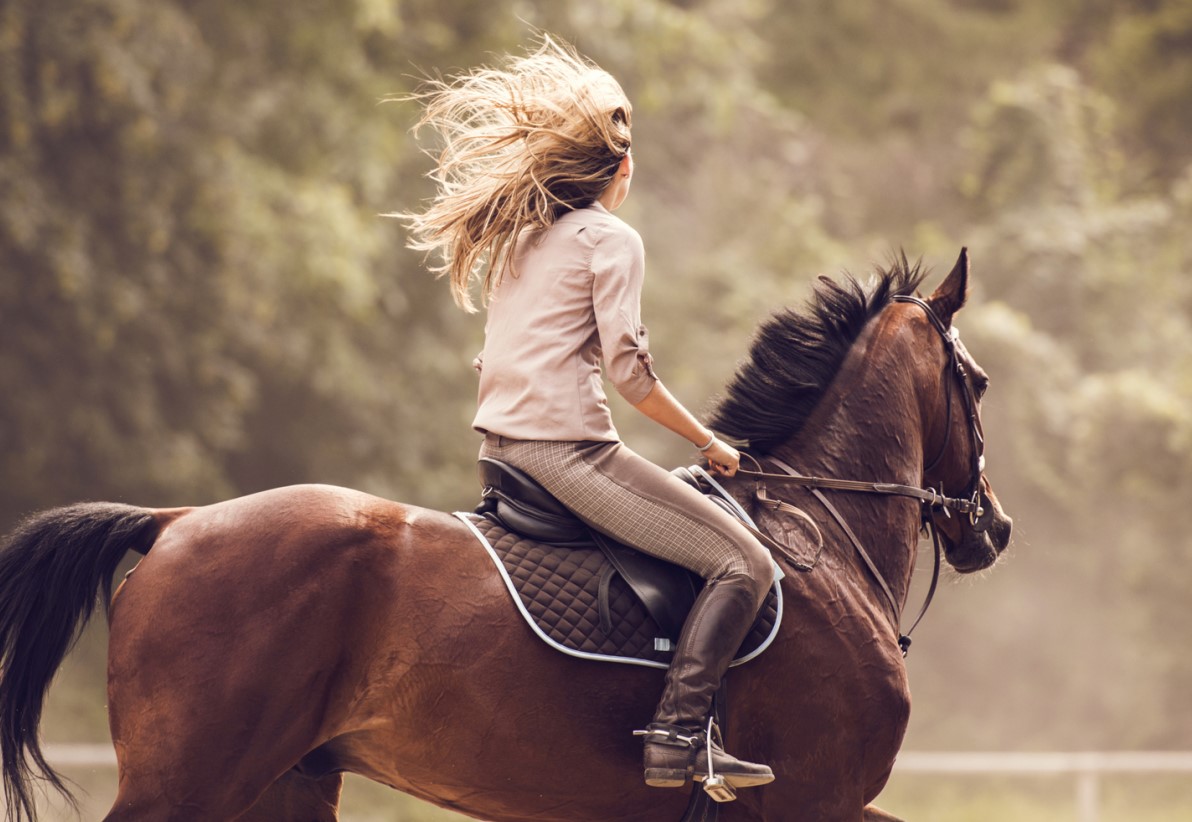 Equestrian Dreams -Equestrian Dreams Screenshot 2025 02 10 024119